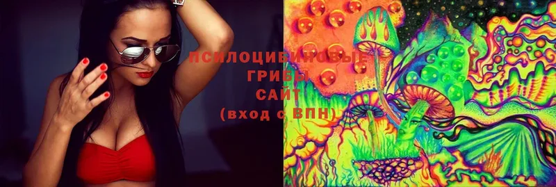 Псилоцибиновые грибы Cubensis  blacksprut   Завитинск 